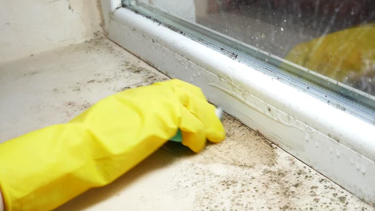 Best Residential Mold Inspection & Testing  in Milford Square, PA